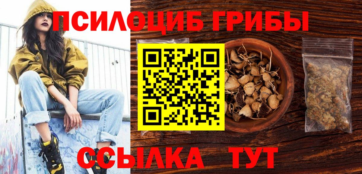 Галлюциногенные грибы ЛСД  Вход с VPN  Энгельс  Галлюциногенные грибы Psilocybe 