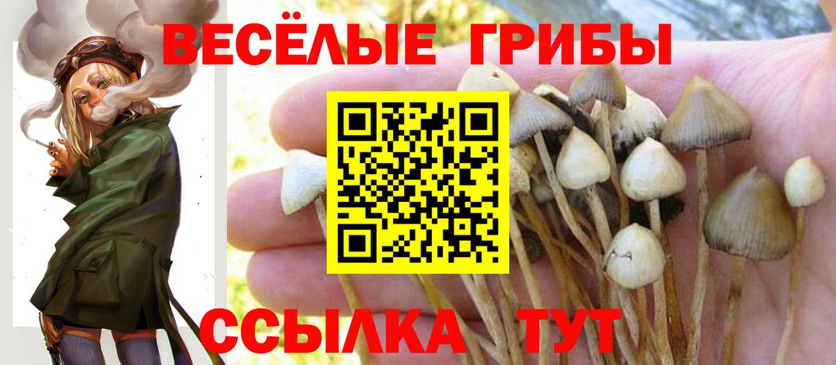 Галлюциногенные грибы GOLDEN TEACHER Энгельс